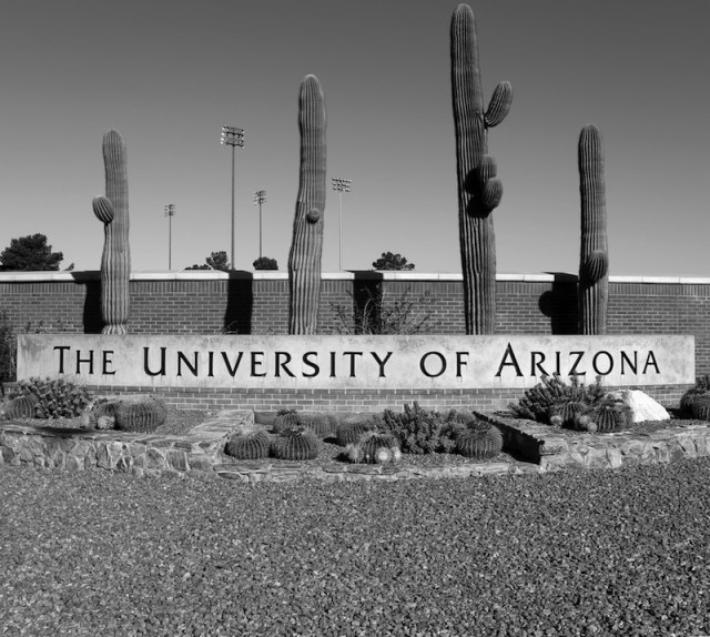 University of Arizona - Faculty Activity Reporting - Interfolio - Case Study